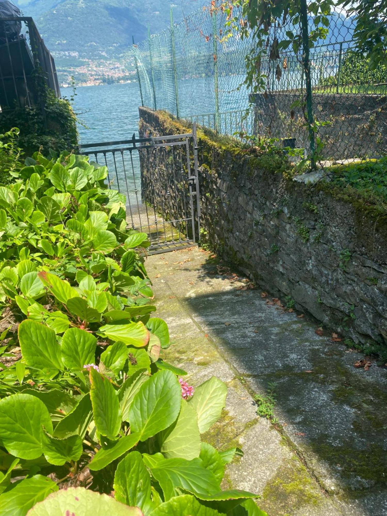 Peonia Apartment - Appartamento Vista Lago Lezzeno Exterior foto